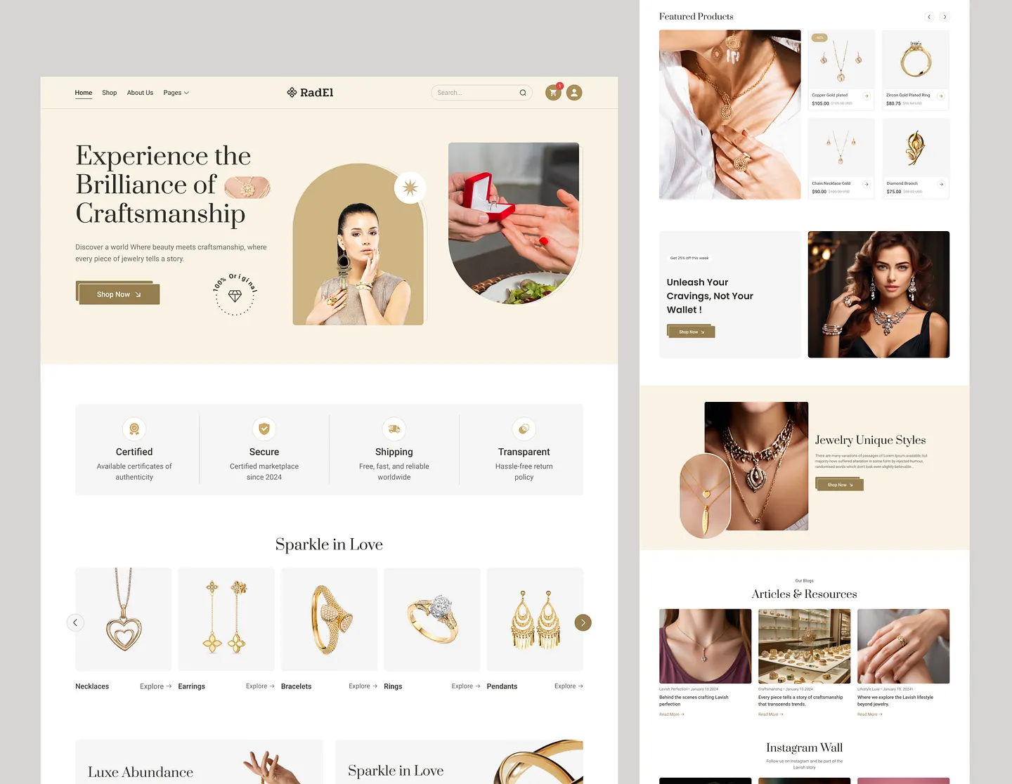 shopify website development services in delhi ncr shopify website development company in inida shopify developments services shopify store design in india
